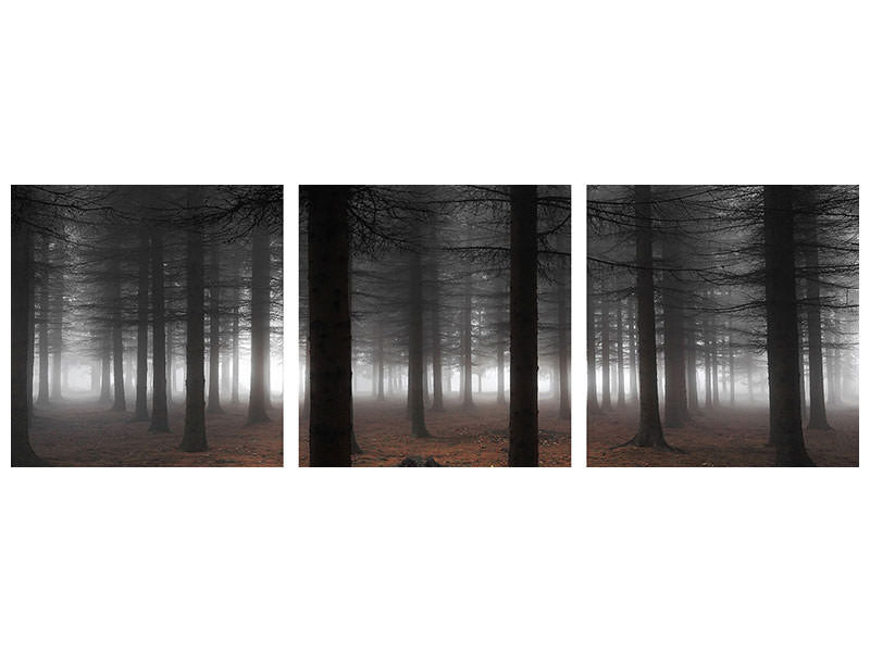 panoramic-3-piece-canvas-print-silence-ii