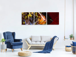 panoramic-3-piece-canvas-print-skunk-clownfish