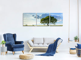 panoramic-3-piece-canvas-print-spring-tree