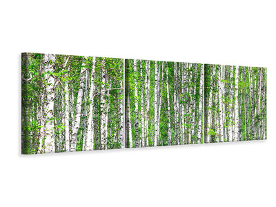 panoramic-3-piece-canvas-print-the-birch-forest