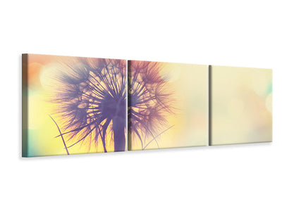 panoramic-3-piece-canvas-print-the-dandelion-in-the-light