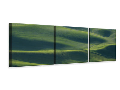 panoramic-3-piece-canvas-print-the-earths-fine-skin