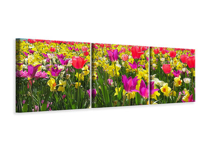 panoramic-3-piece-canvas-print-the-spring-awakening