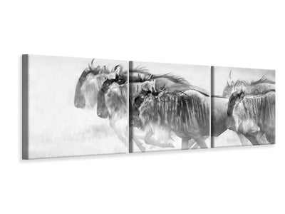 panoramic-3-piece-canvas-print-unstopable