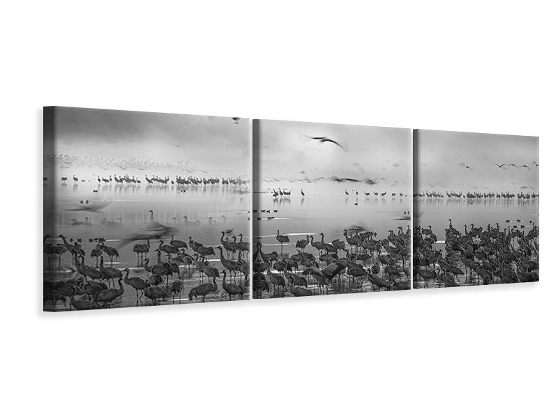 panoramic-3-piece-canvas-print-untitled-iii