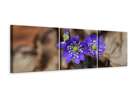 panoramic-3-piece-canvas-print-wildflowers