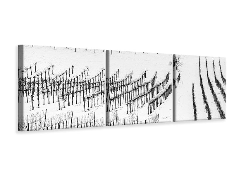 panoramic-3-piece-canvas-print-winter-lines