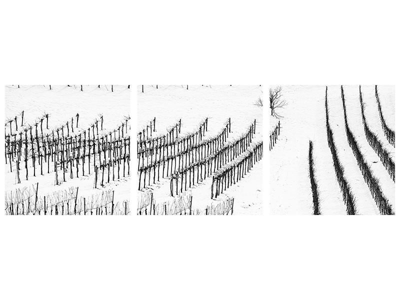 panoramic-3-piece-canvas-print-winter-lines