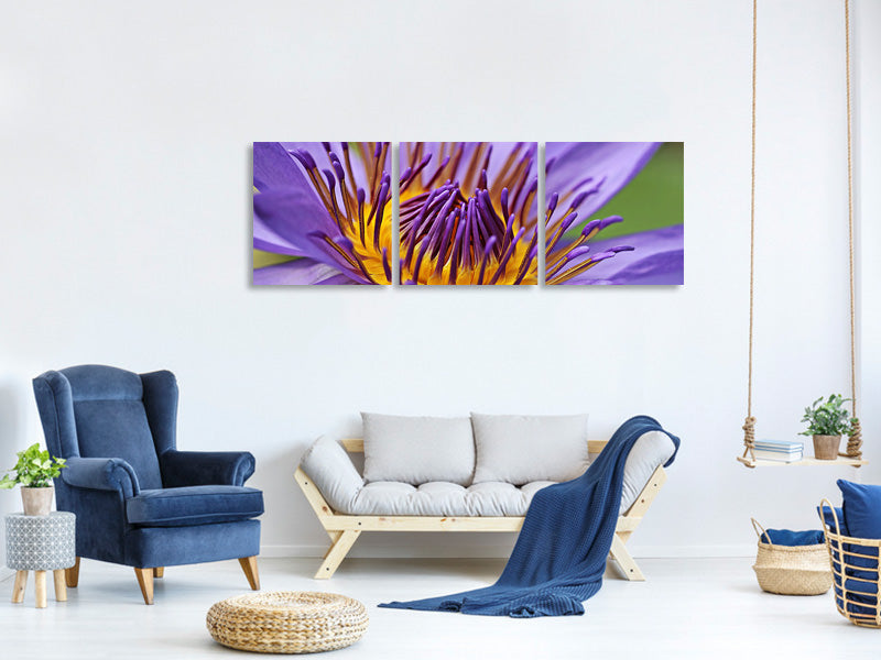 panoramic-3-piece-canvas-print-xxl-water-lily-in-purple