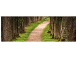 panoramic-canvas-print-a-path-in-the-forest