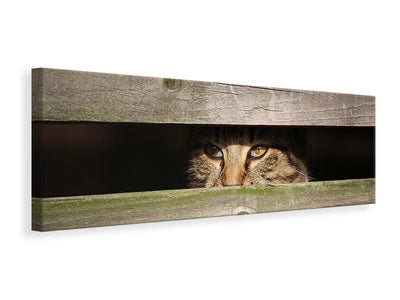 panoramic-canvas-print-cat-in-hiding