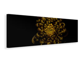 panoramic-canvas-print-chrysanthemum