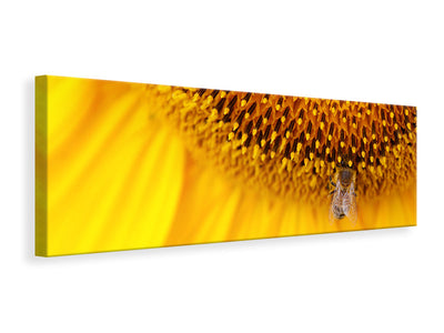 panoramic-canvas-print-close-up-yellow-bud