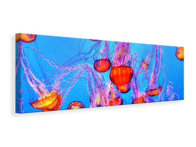panoramic-canvas-print-colorful-jellyfish