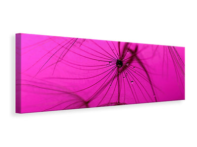panoramic-canvas-print-dandelion-in-pink