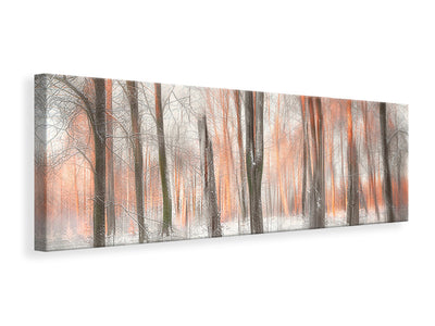 panoramic-canvas-print-evening-light