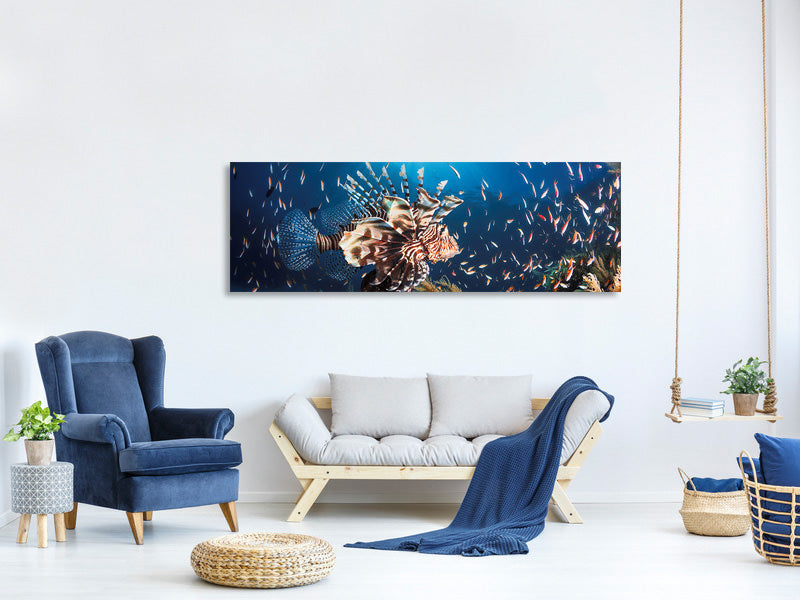panoramic-canvas-print-lionfish