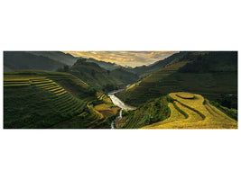 panoramic-canvas-print-riceterrace