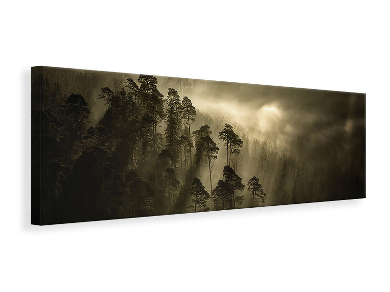 panoramic-canvas-print-streiflichter